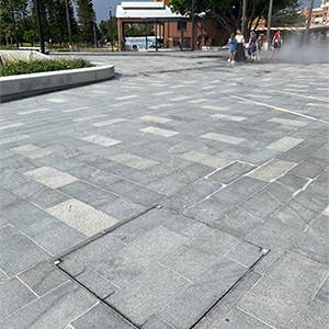 The Station, Newcastle, NSW